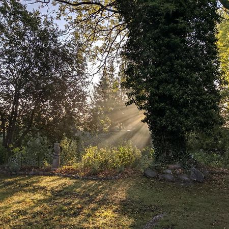 Schlossgut Gorow Satow Zewnętrze zdjęcie